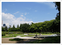 本社周辺風景（靭公園）